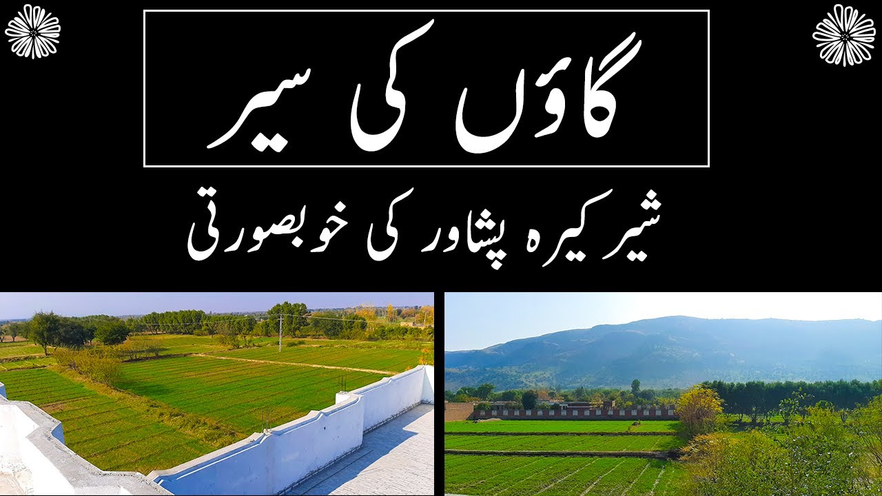 Beautiful Village | Sherkera Peshawar | Rural Area in Pakistan 2020