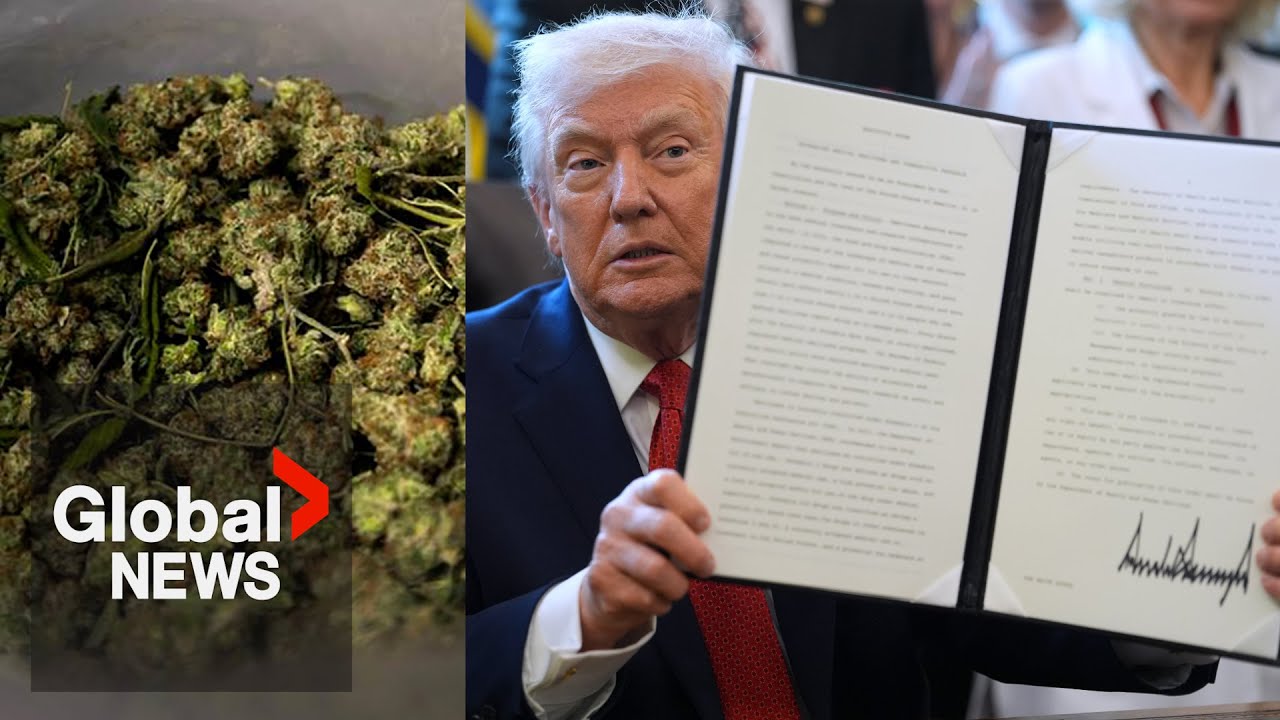 Trump reclassifies marijuana as less dangerous drug for health and study purposes