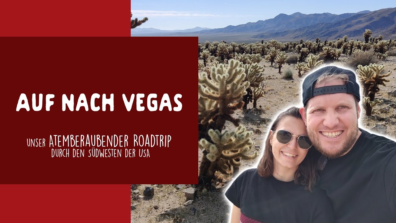 Los Angeles nach Las Vegas: Durch den Joshua Tree National Park auf einem unvergesslichen Roadtrip
