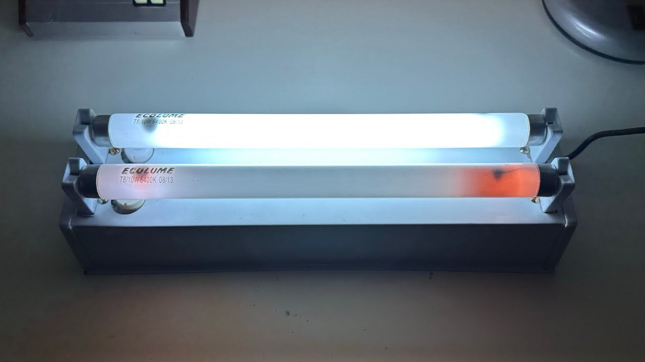 EOL T8 10W 2013 Ecolume 6500K