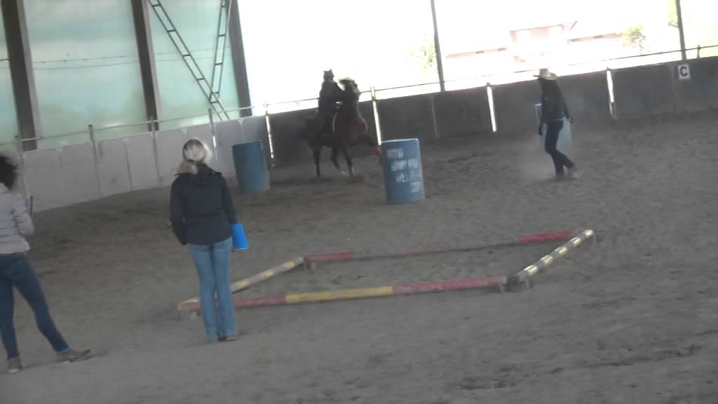 Roca Camilla 1° class NOVICE JUNIOR