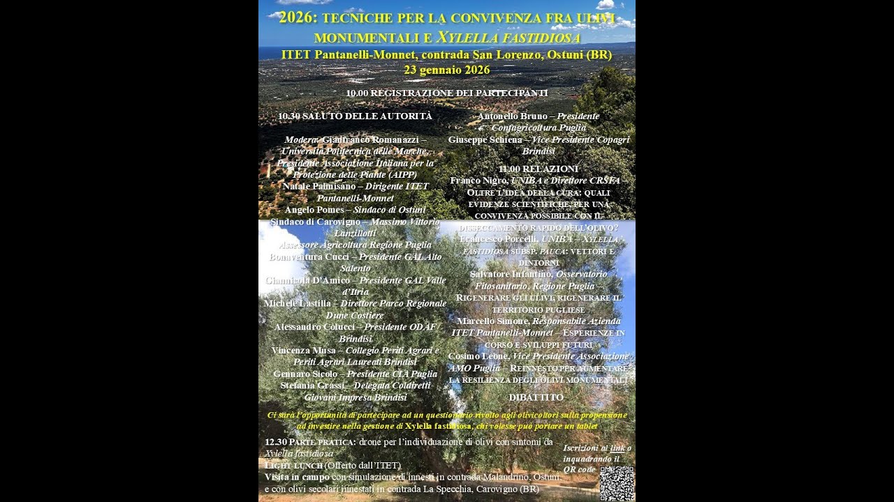 2026: tecniche per la convivenza fra ulivi monumentali e Xylella fastidiosa