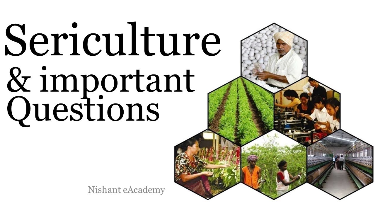 Sericulture and Important Questions | Types of Silk and Silkworms | Sericulture of Silkworm