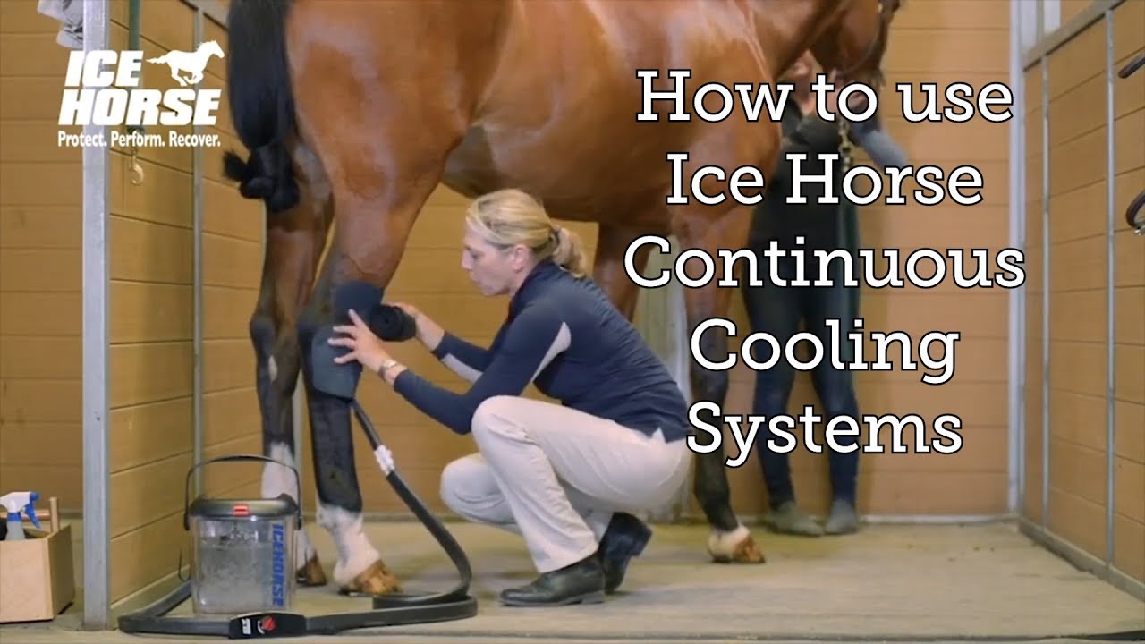 How to use Ice Horse Continuous Cooling Systems
