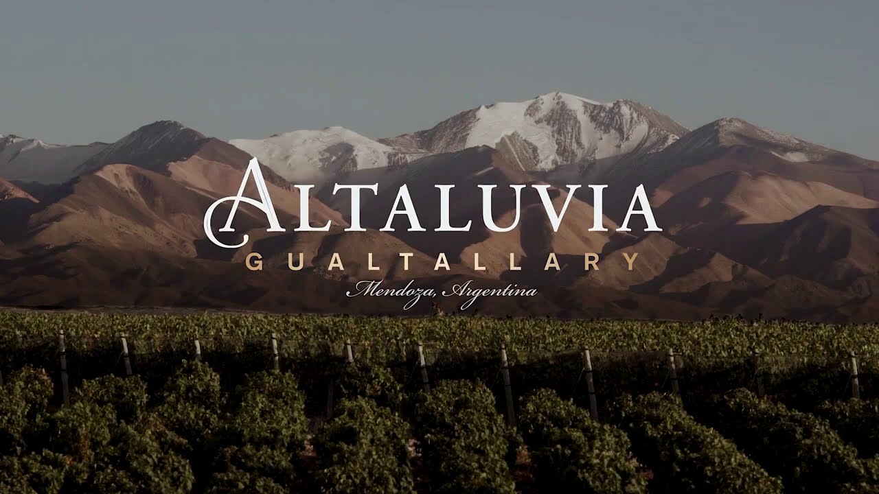 Llega Altaluvia, el vino que guarda todos los secretos de Gualtallary