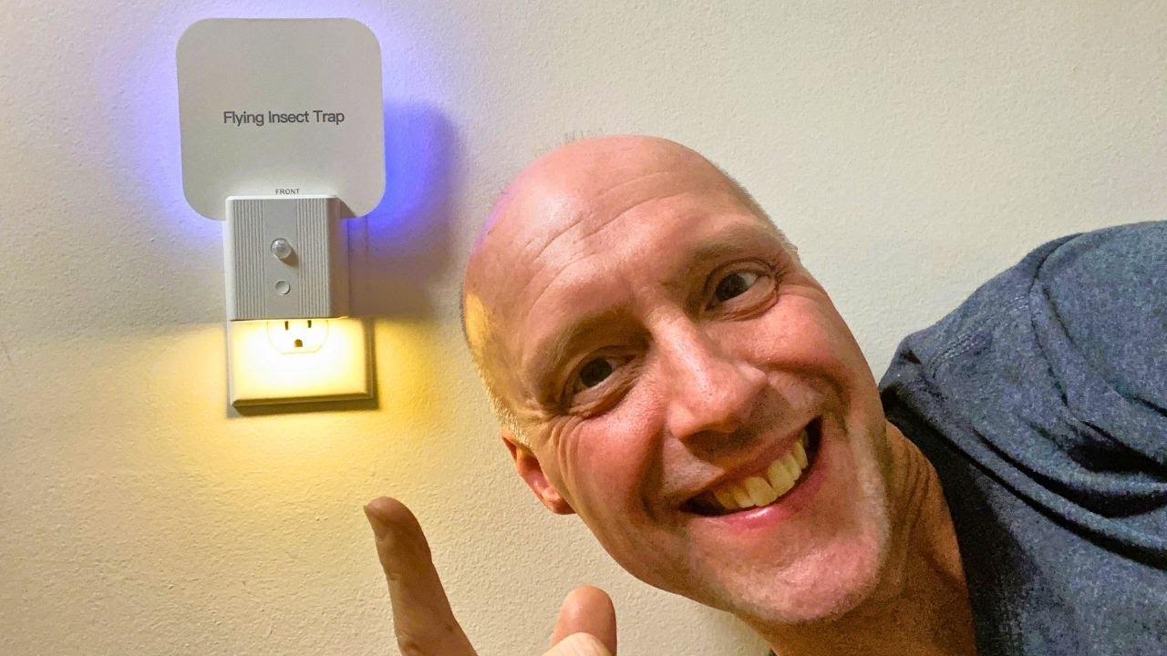 UV 2-IN-1 FLYING INSECT TRAP WITH NIGHT LIGHT Review | Did this UV Insect Trap Work?