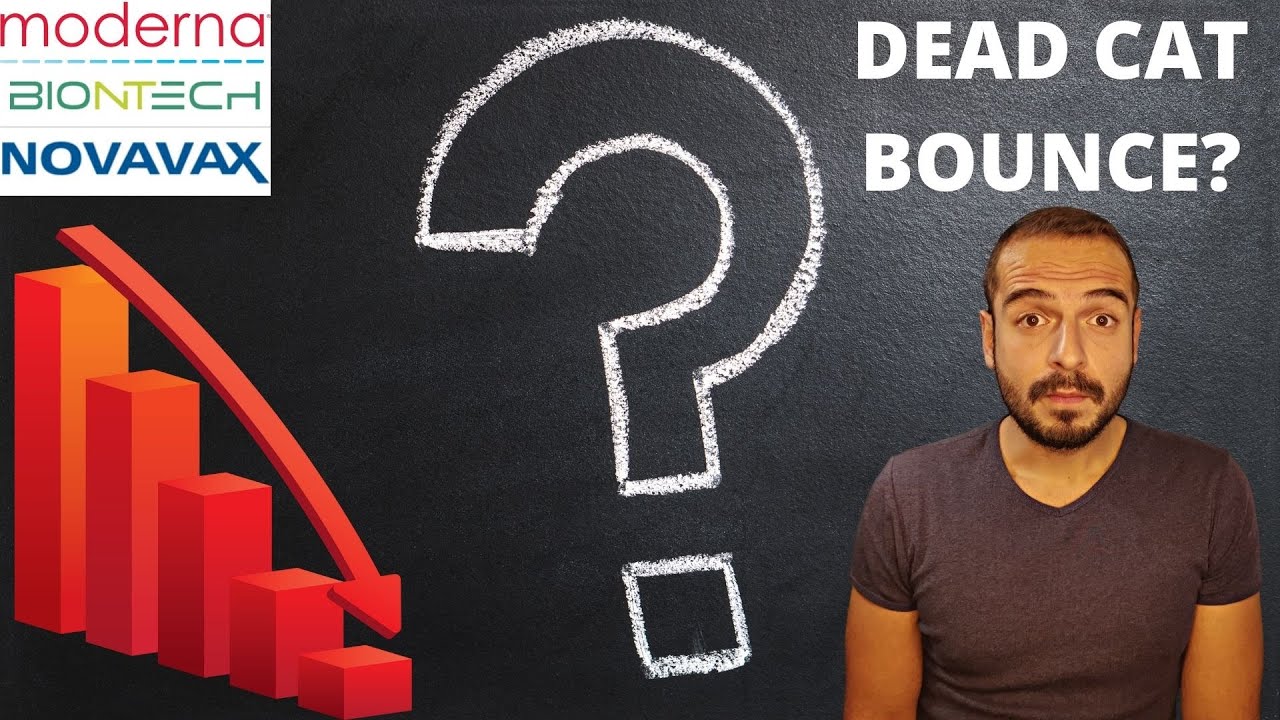 RALLY or DEAD CAT BOUNCE? | Moderna | BioNTech | Novavax | MRNA | BNTX | NVAX | Stock Analysis