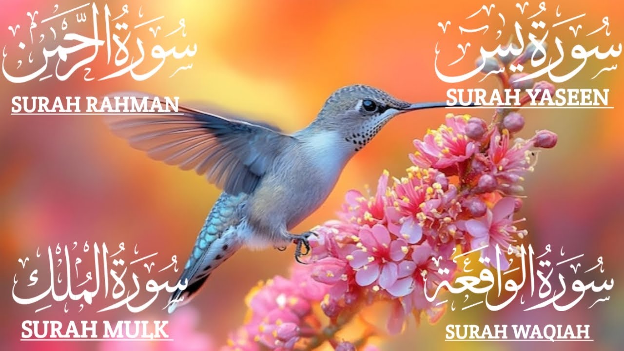 Find Your Calm: Peaceful Quran Recitation for Daily Reflectionيس❤️الواقعة❤️الرحمن❤️الملك #quranic