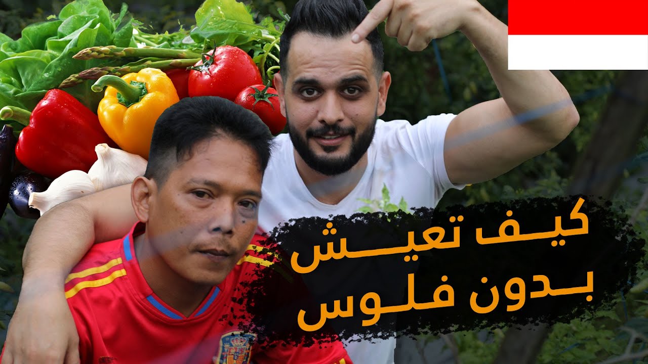 فقراء يعيشون حياة الاغنياء | اجمل عادات قرى اندونيسيا 🇮🇩