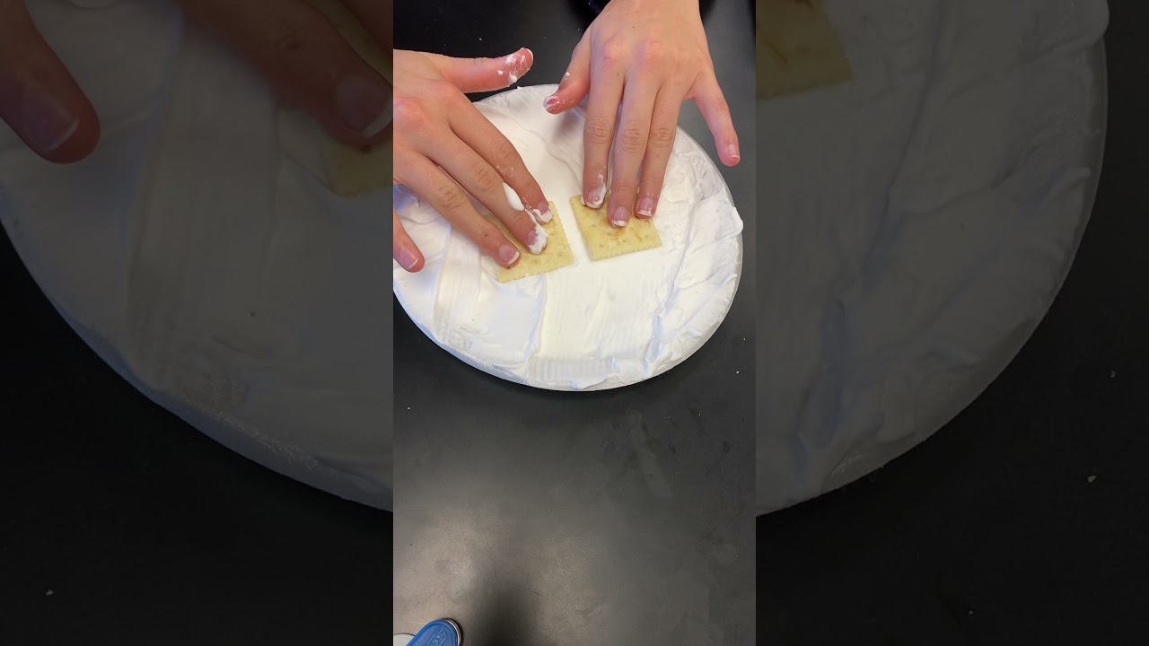Divergent Plate Boundary