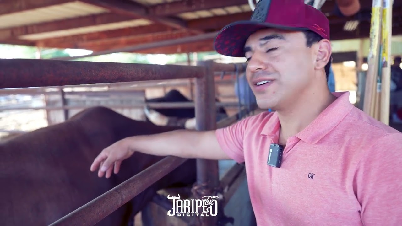 Visitamos el Rancho del Gallito de Morelia. Después de14 fechas recorridas, así lucen sus toros.
