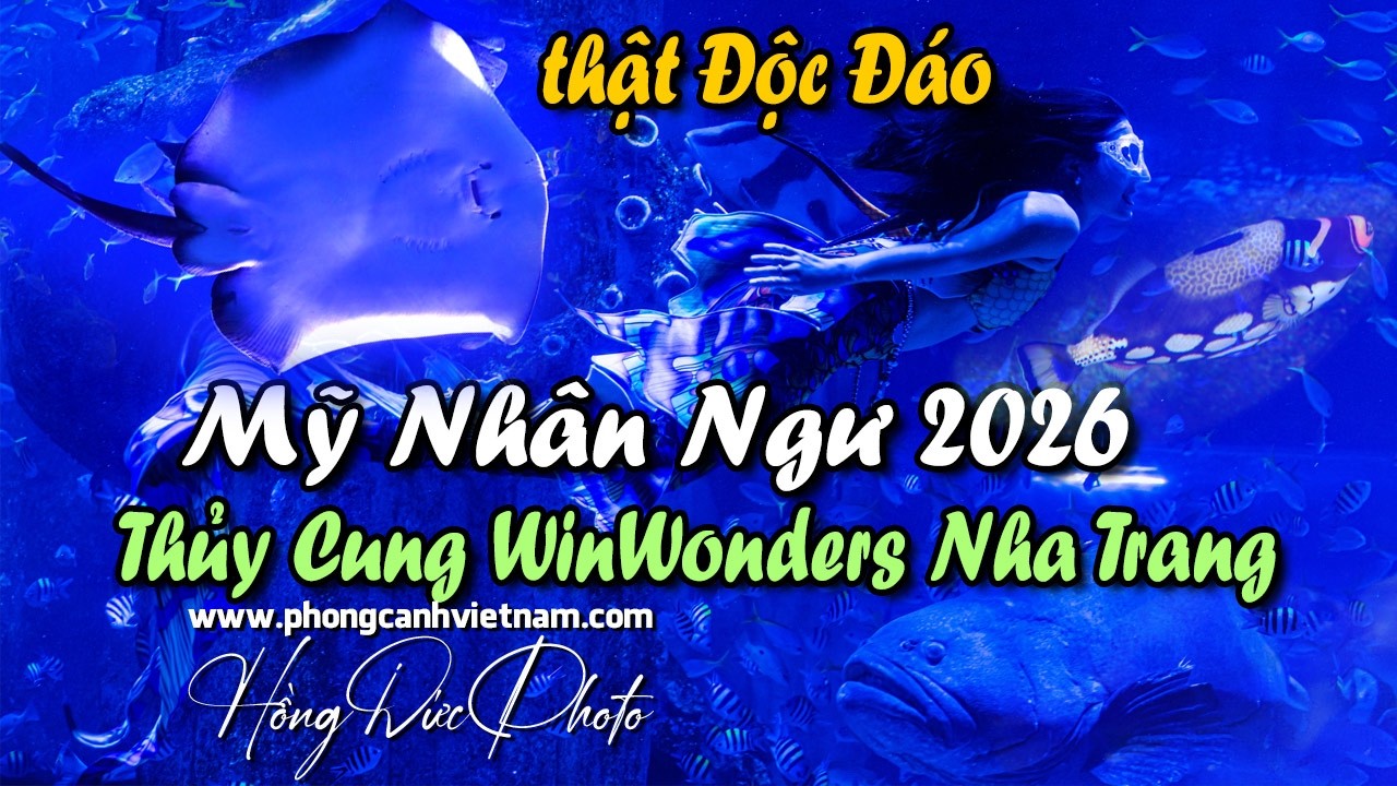 Show diễn Nàng Tiên Cá  - thủy cung WinWonders mùng 3 Tết 2026