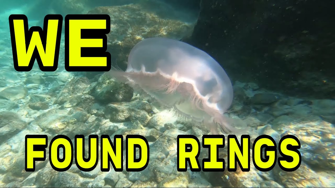 Metal Detecting For treasure At The Beach