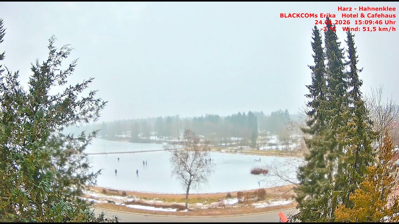 Harz - Hahnenklee - Zeitraffer 24. - 25.01.2026