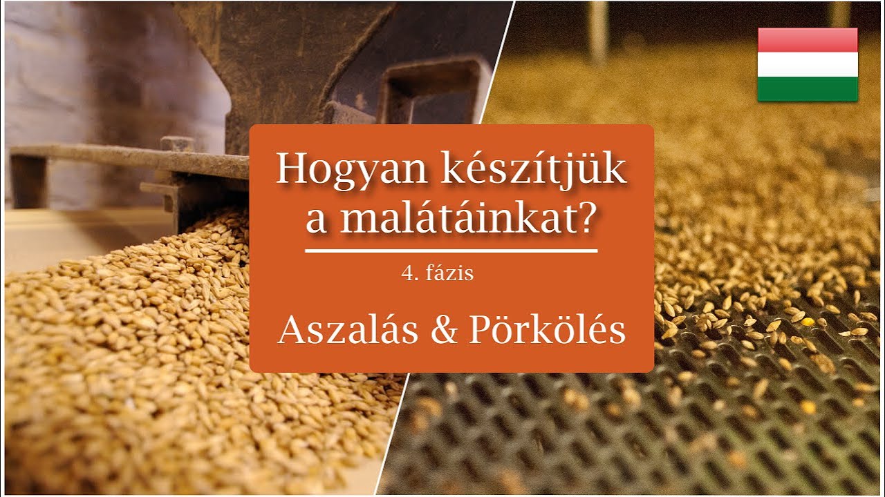 Hogyan k&eacute;sz&iacute;tj&uuml;k a mal&aacute;t&aacute;inkat? 4. f&aacute;zis | Castle Malting