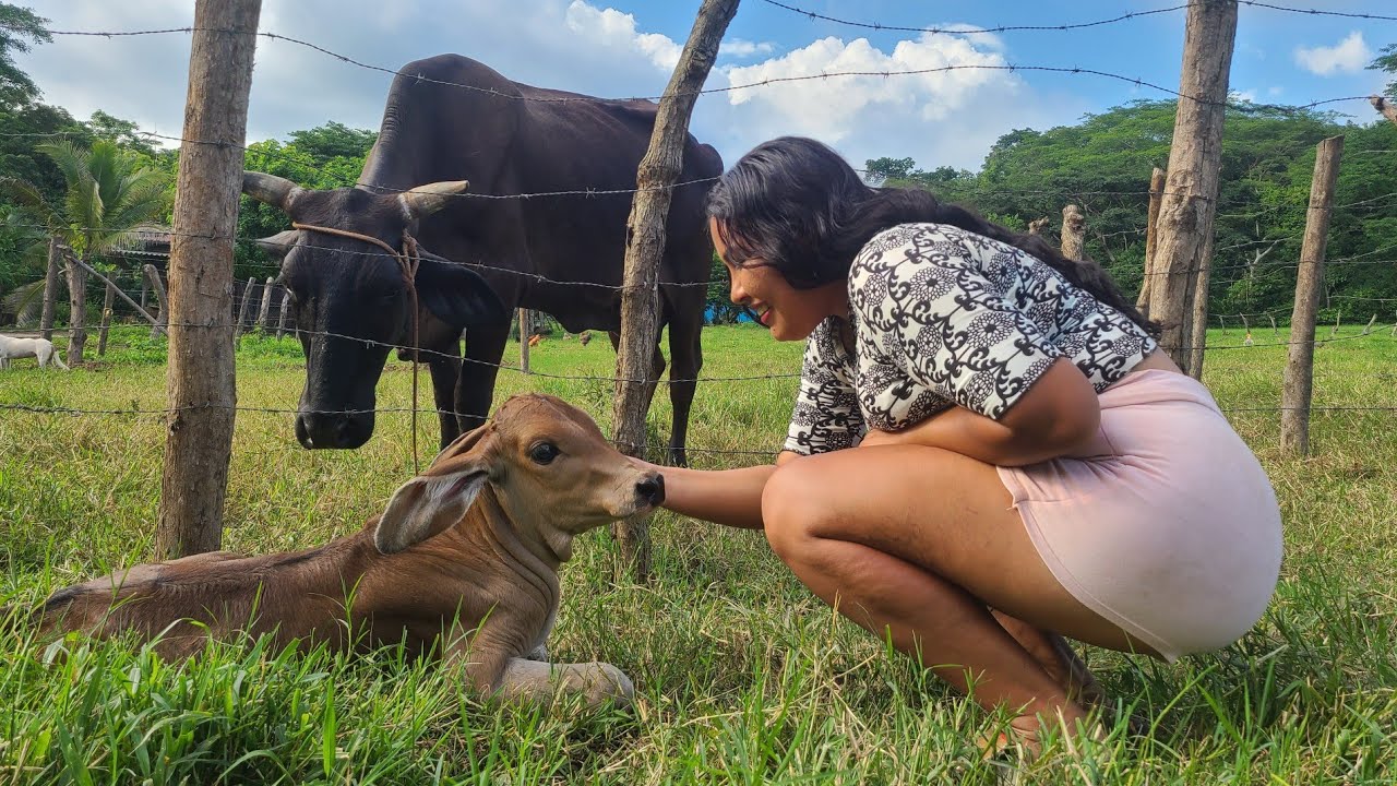 NACIO UNA NUEVA CHIVITA 🐄 ! LA VIDA DEL CAMPO 🏞️  | Rocío Hernández