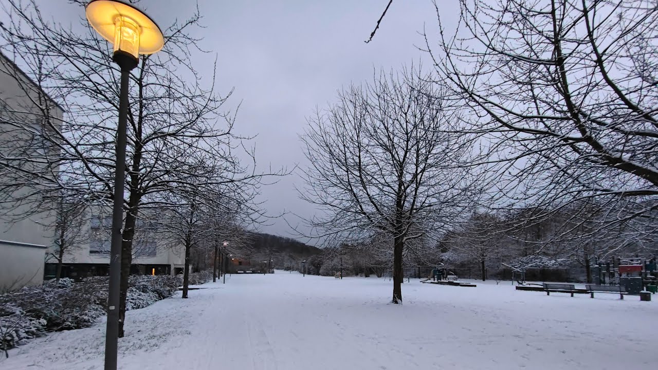 Walking Through a Snowy Fairytale