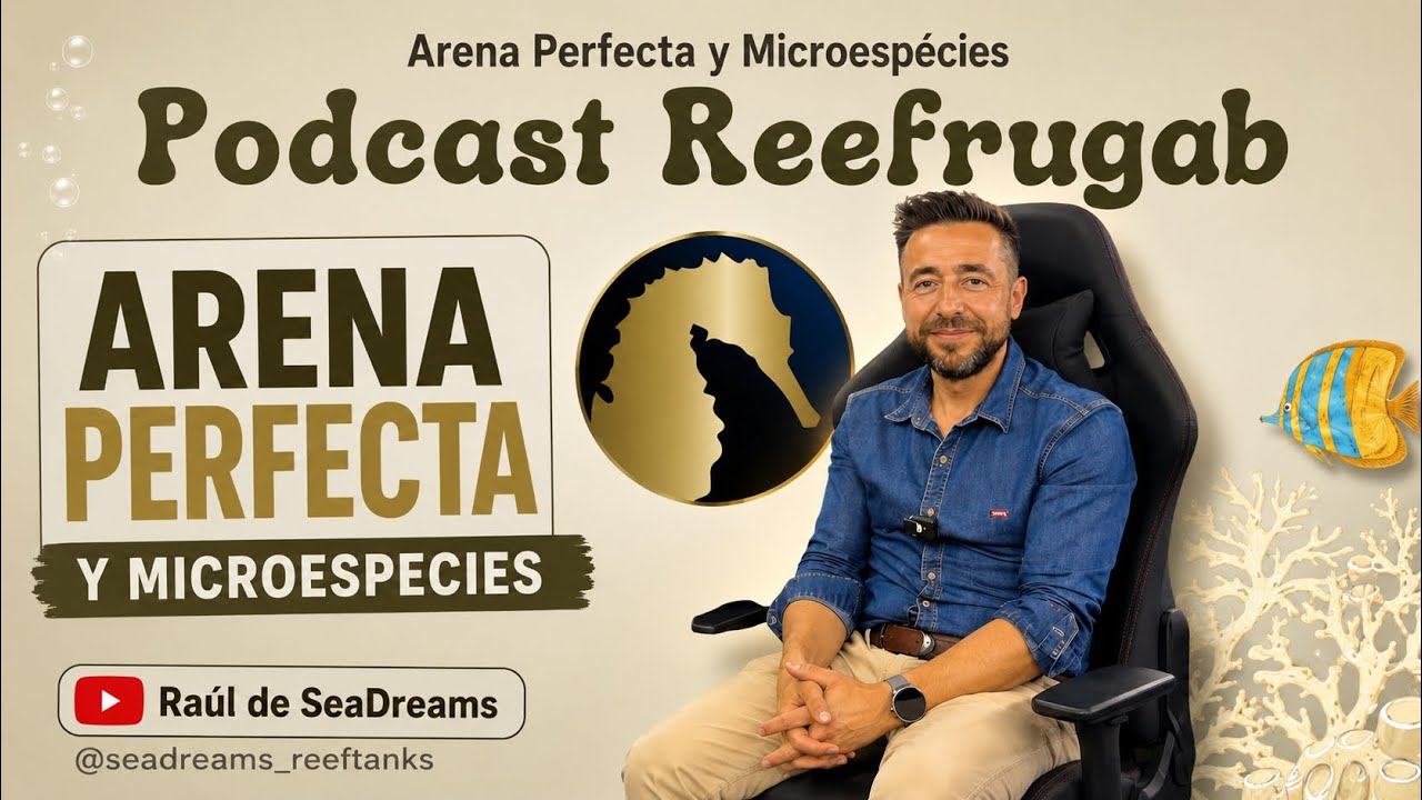 Todos los SECRETOS para una ARENA BLANCA y LIMPIA | MICRO y PEQUEÑOS PECES con SeaDreams