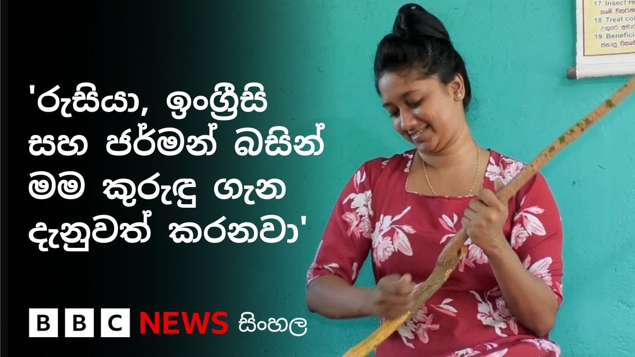 කොග්ගලට එන සංචාරකයින්ට කුරුඳු ගැන කියා දෙන සඳුනි | BBC News සිංහල