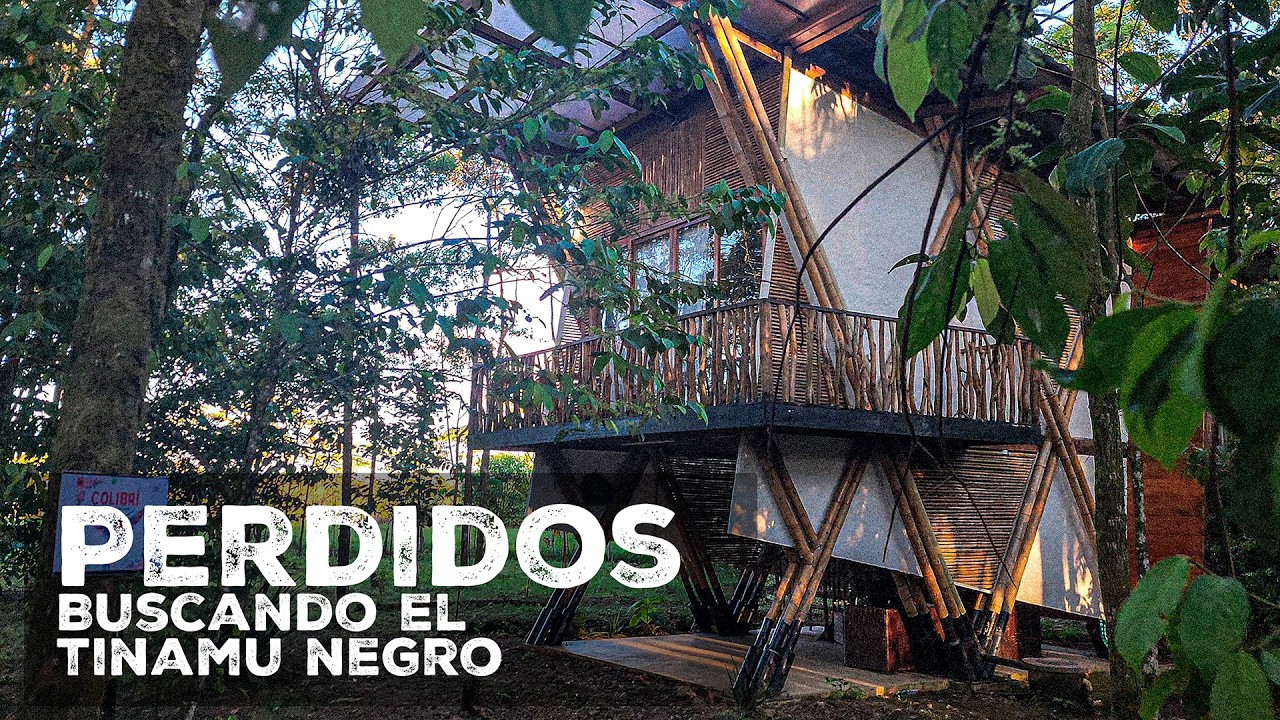Nos PERDIMOS en Orito buscando esta Cabaña (Tinamú Negro) 🏍️