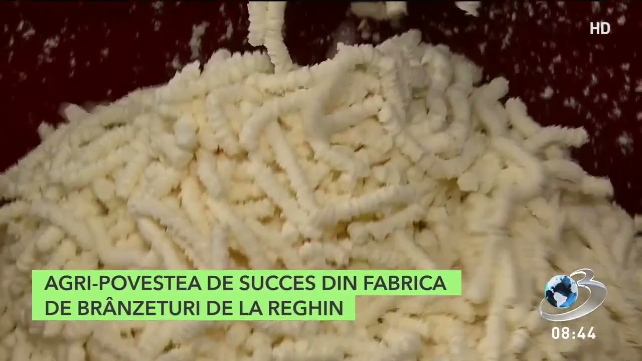 Fabrica de brânzeturi de la Reghin, locul unde se produce celebra telemea de Ibăneşti