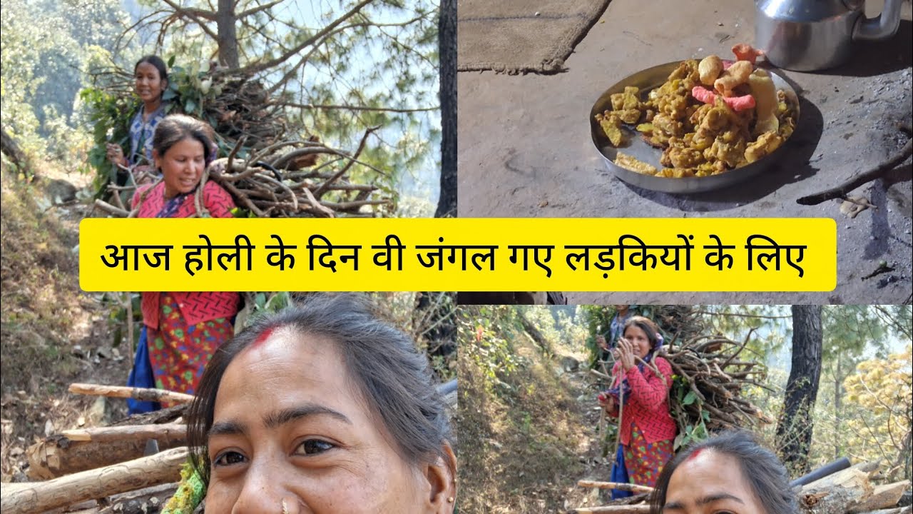 आज गए हम लोग होली के दिन वी काम के लिए 😋#pahadi life style #viral video 