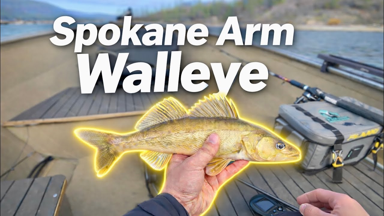 Walleye Fishing the Spokane Arm