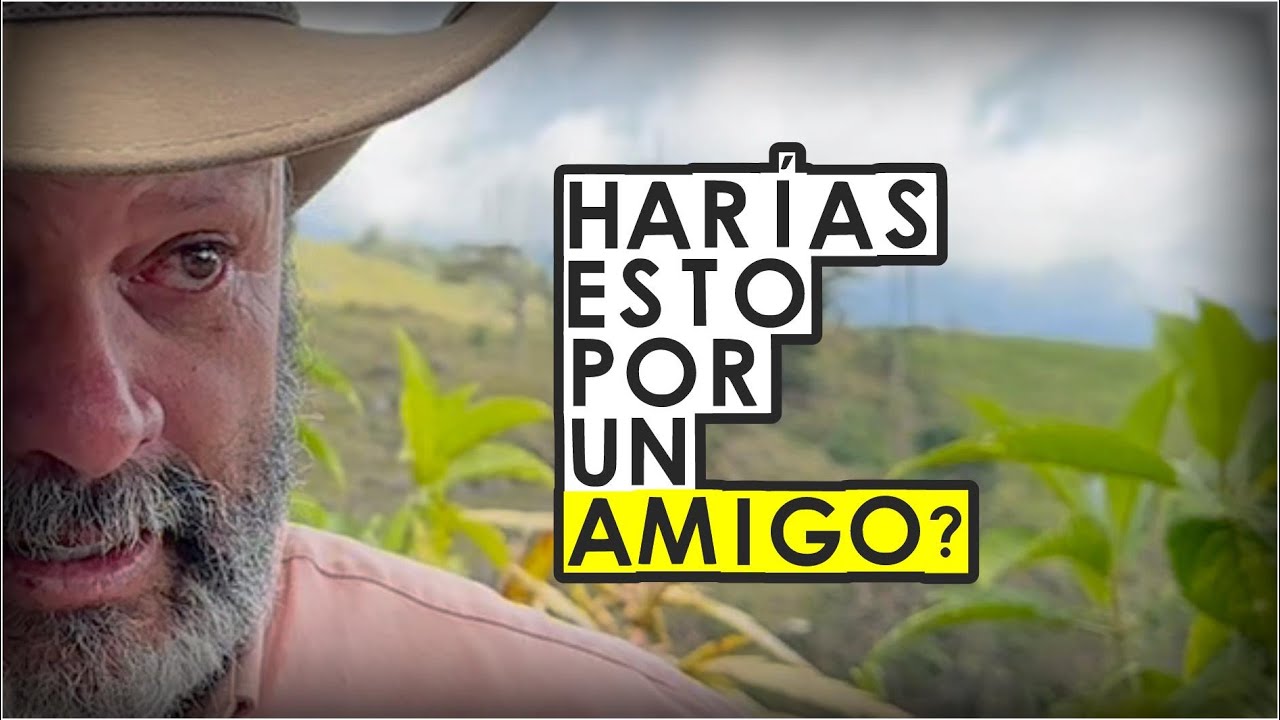 El verdadero significado de la amistad: Una historia de lealtad y sacrificio