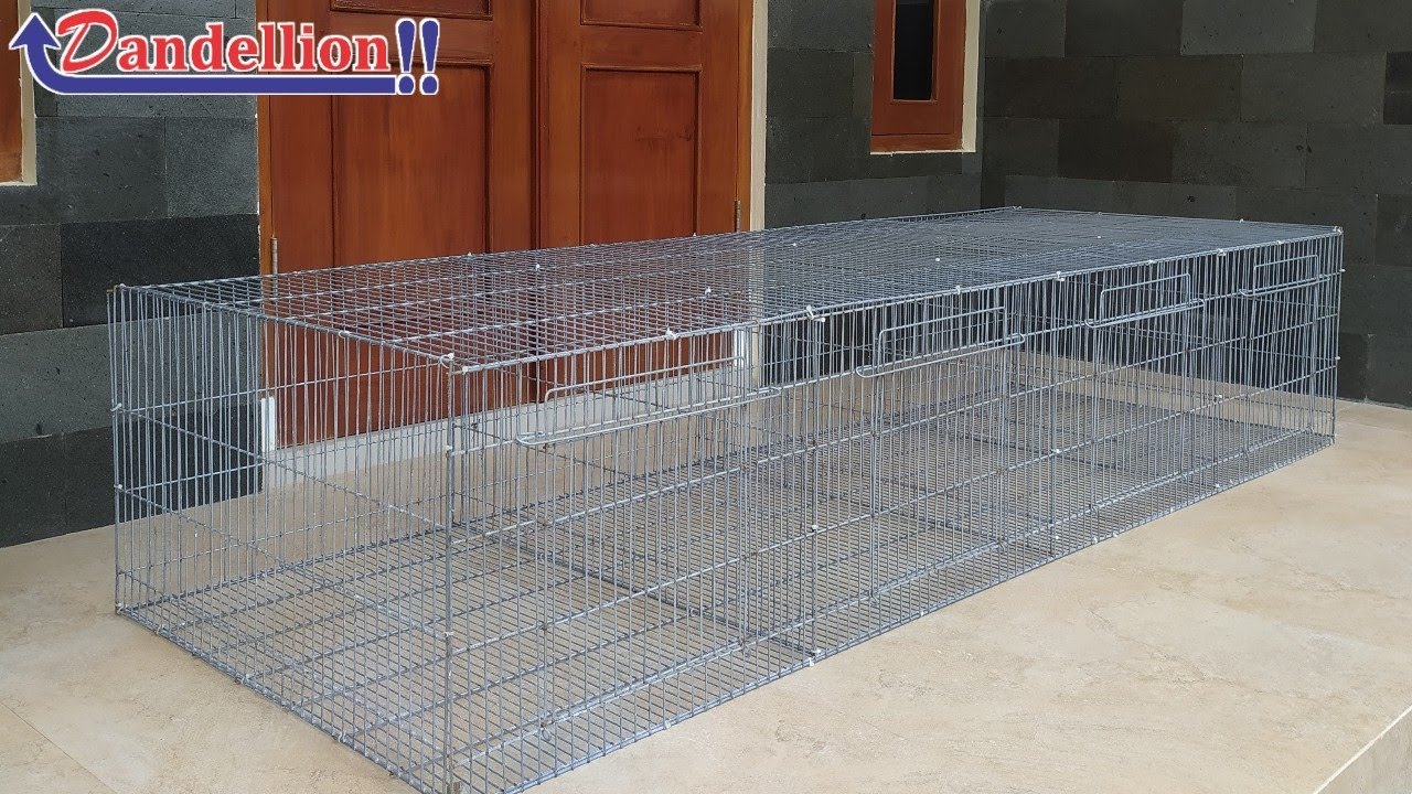 Cara Cepat Merakit Kandang Kelinci Galvanis Untuk Pemula