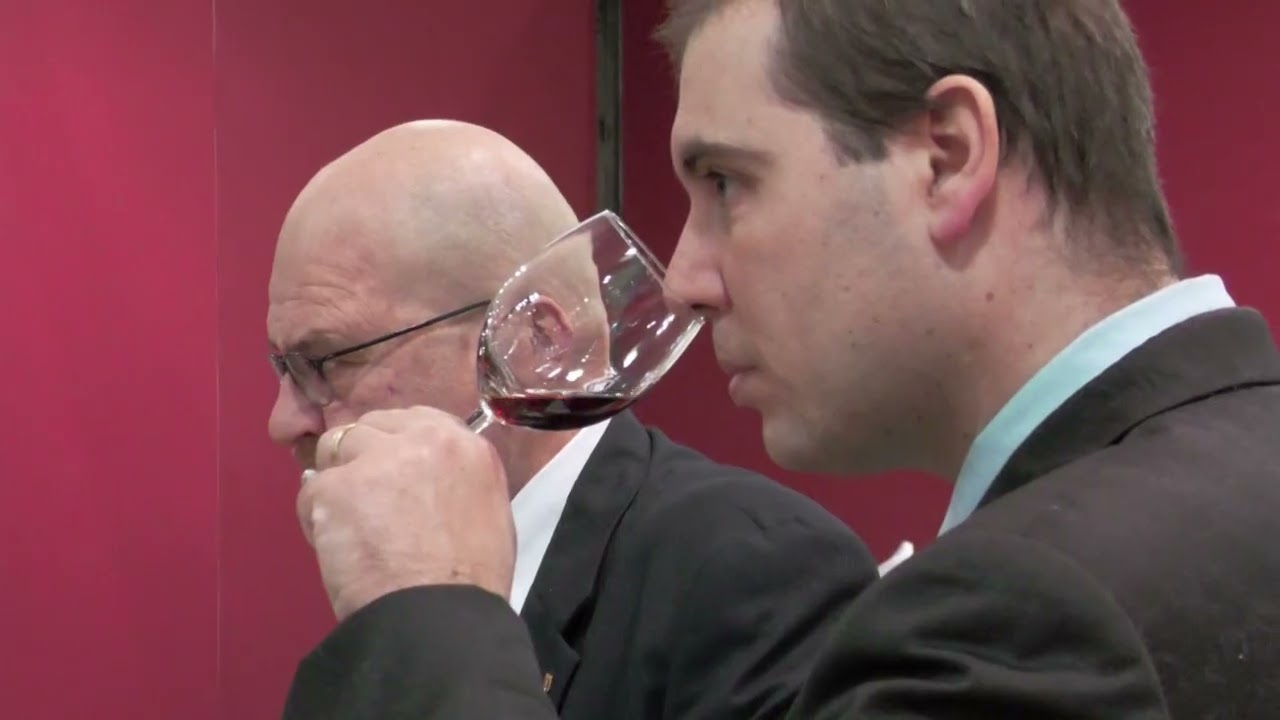 SRV PRESENTAZIONE VINO CASALMAGIUR NEL DETTAGLIO 28 02 2026