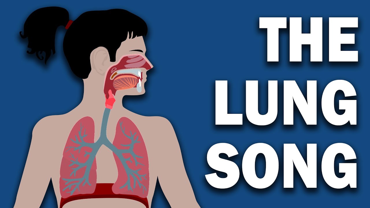 THE LUNG SONG