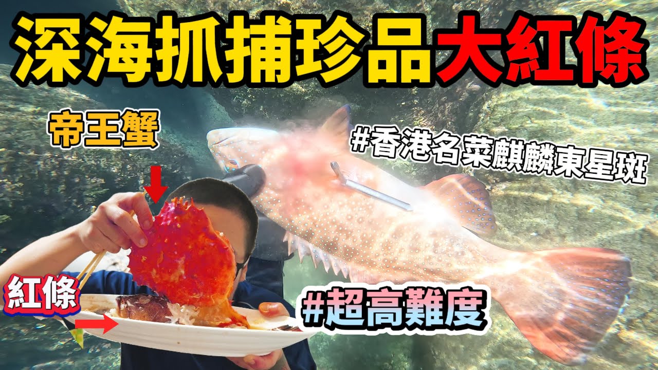 《北部極稀有大紅條》臨時想來道香港名菜野生麒麟東星斑 怎麼辦!? 難度直逼打到大龍膽大龍蝦!!成功or失敗！？ #抓海鲜 #美食