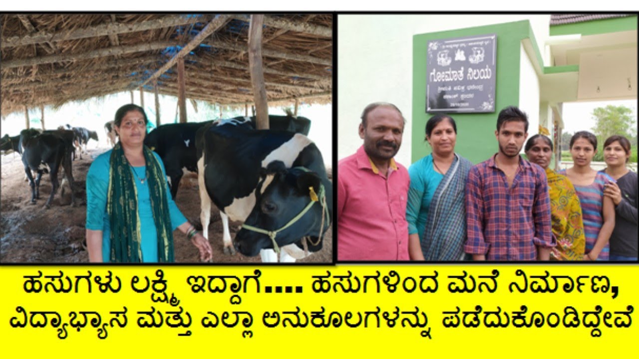 ಒಂದು ಹಸುವಿನಿಂದ 50 ಹಸು ಸಾಕಾಣಿಕೆ ಮಾಡಿ ಪ್ರತಿ ದಿನ ಉತ್ತಮ ಆದಾಯಗಳಿಸುತ್ತಿರುವ ಮಹಿಳೆ