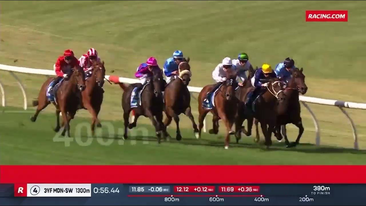All Too Single 2nd at Sandown