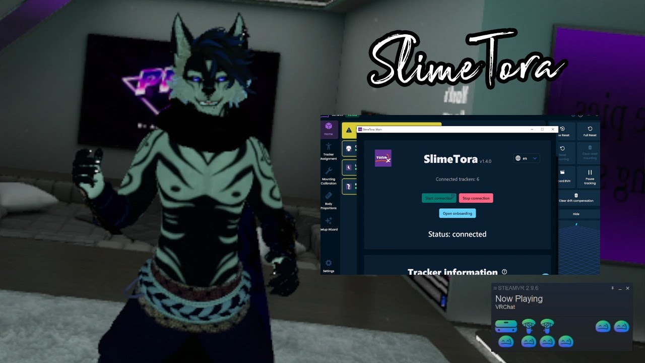 HaritoraX Trackers | Setting Up SlimeVR & SlimeTora