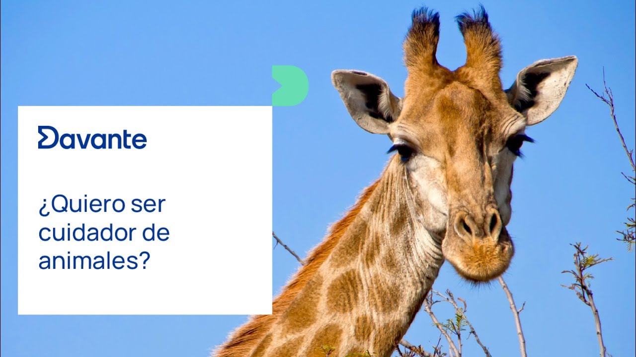Quiero ser cuidador de animales… ¿es realmente para mí?🦁🐬