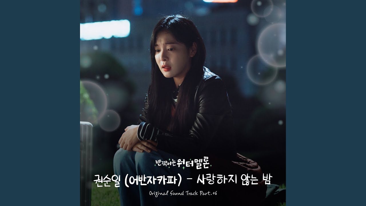 Loveless Night (사랑하지 않는 밤)