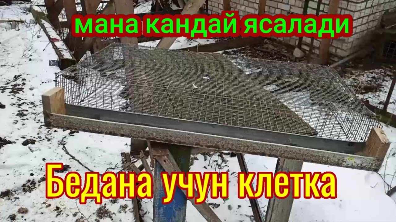 Беданага клетка ясаш