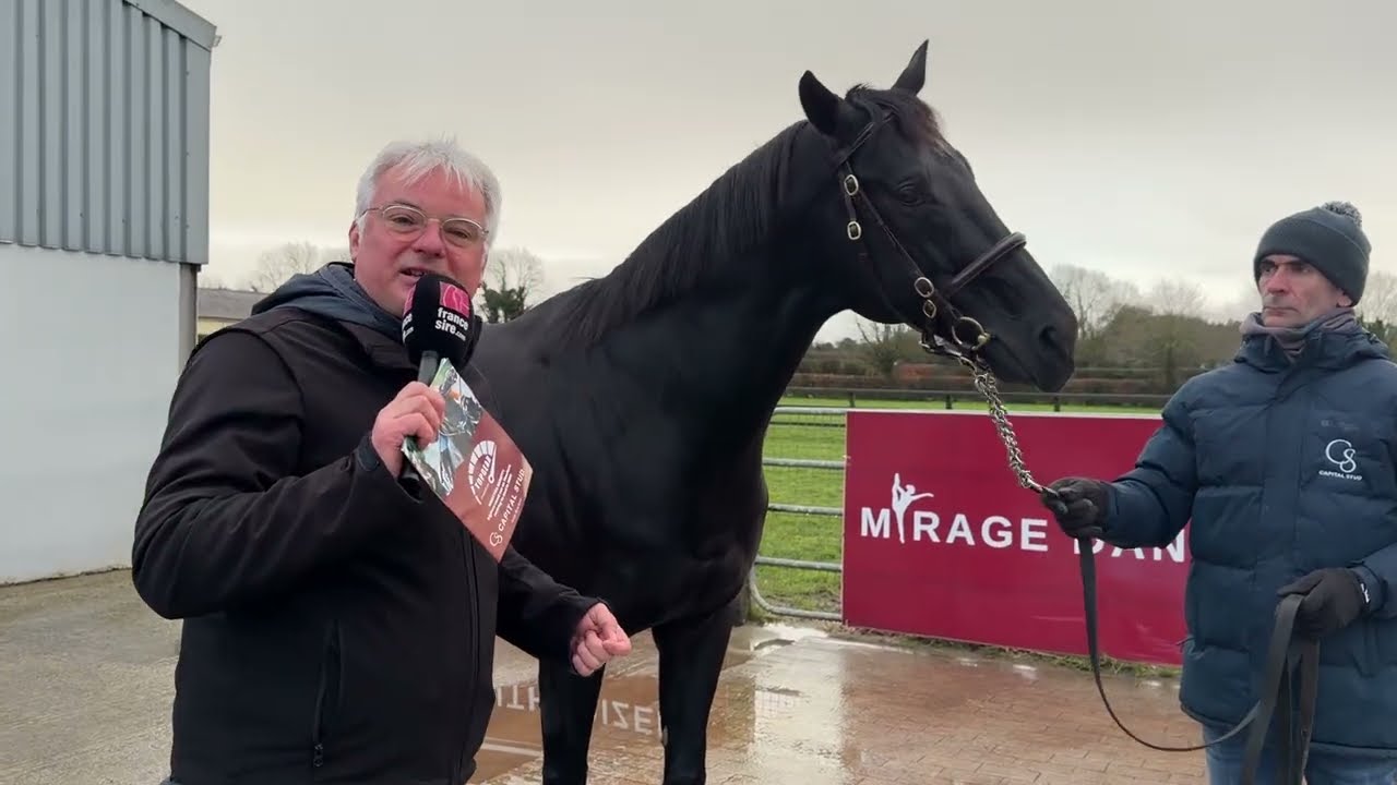 TOPGEAR à Capital Stud avec Darragh McCarty : Irish Stallion Trail 2026
