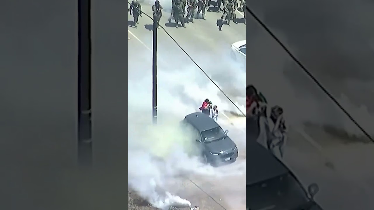 Protesters, immigration agents clash at California marijuana farm raids | REUTERS