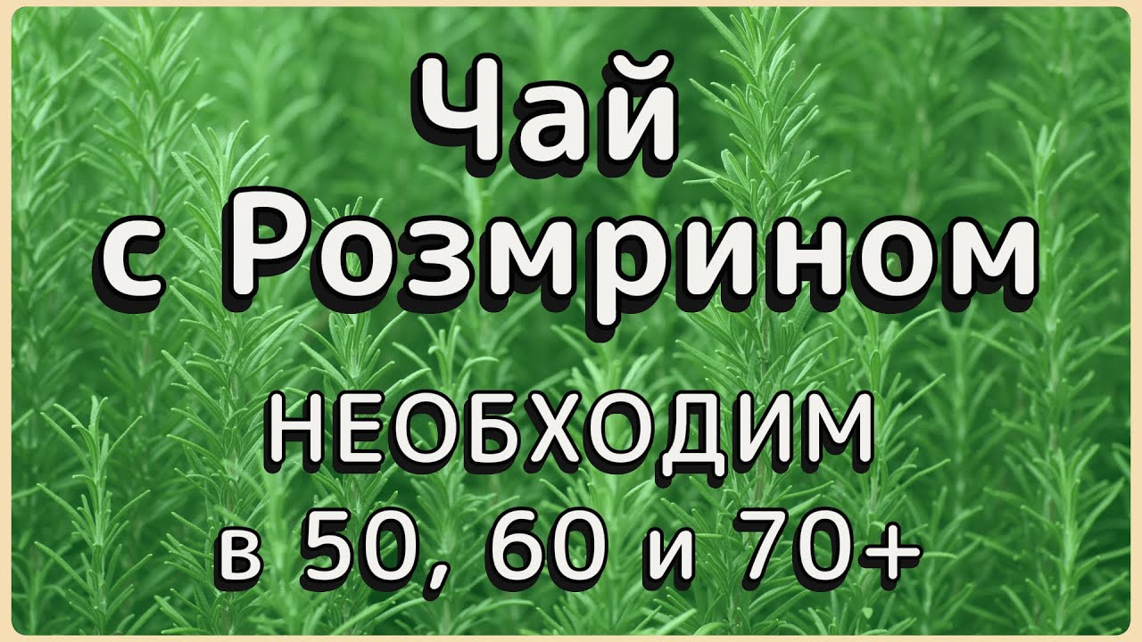 Болезни, Которые Лечит  Чай с Розмарином.