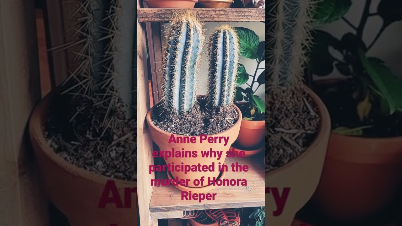 Anne Perry explains why she participated in the murder of Honora Rieper