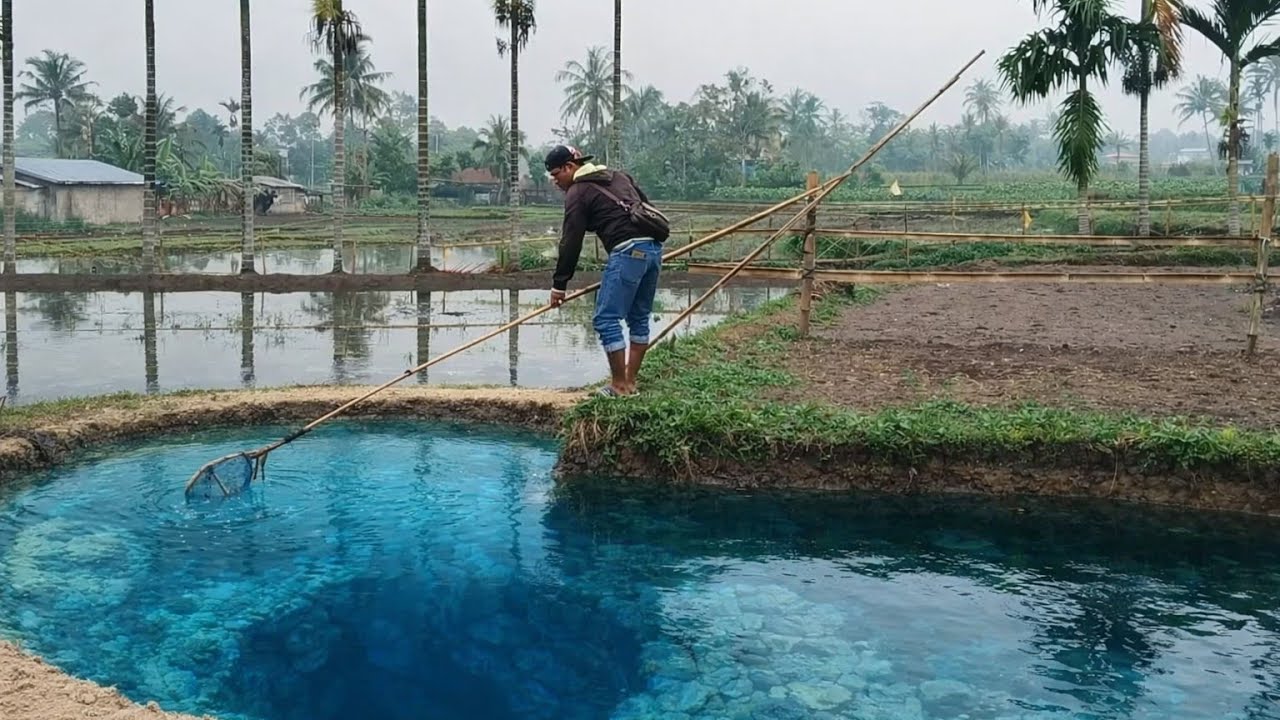 KONDISI TERKINI SINKHOLE SITUJUAH BATUA DIPENUHI LUMUT,DIBERSIHKAN MEMAKAI JARING SUPER LANJANG