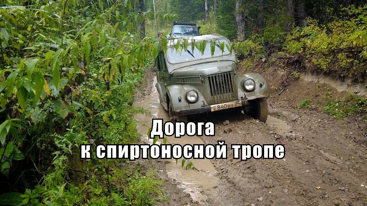 Дорога к спиртоносной тропе