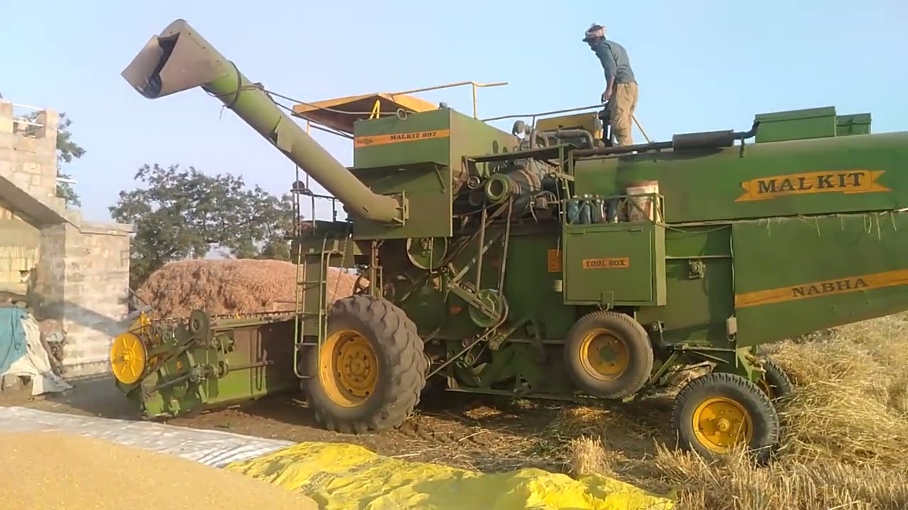 Wheat cutting #farm #agrifuture #agriculturalsystem #modernfarmer #villagelife #villagelife #