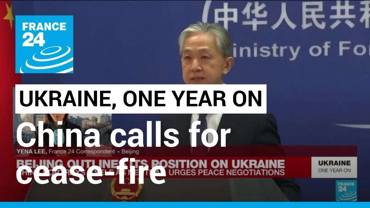 China calls for Russia-Ukraine cease-fire, peace talks &bull; FRANCE 24 English