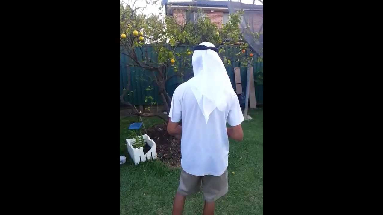 Arabian secrets.