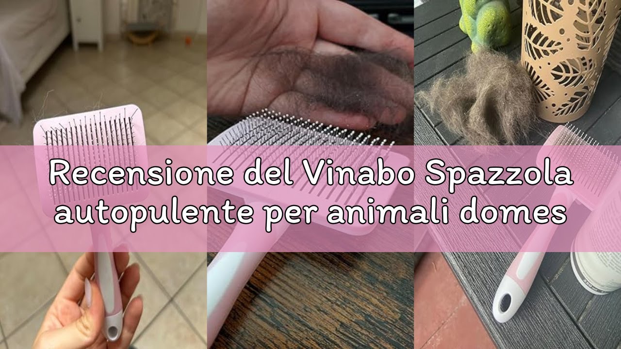 Recensione del Vinabo Spazzola autopulente per animali domestici, spazzola per pelo lungo e corto, p