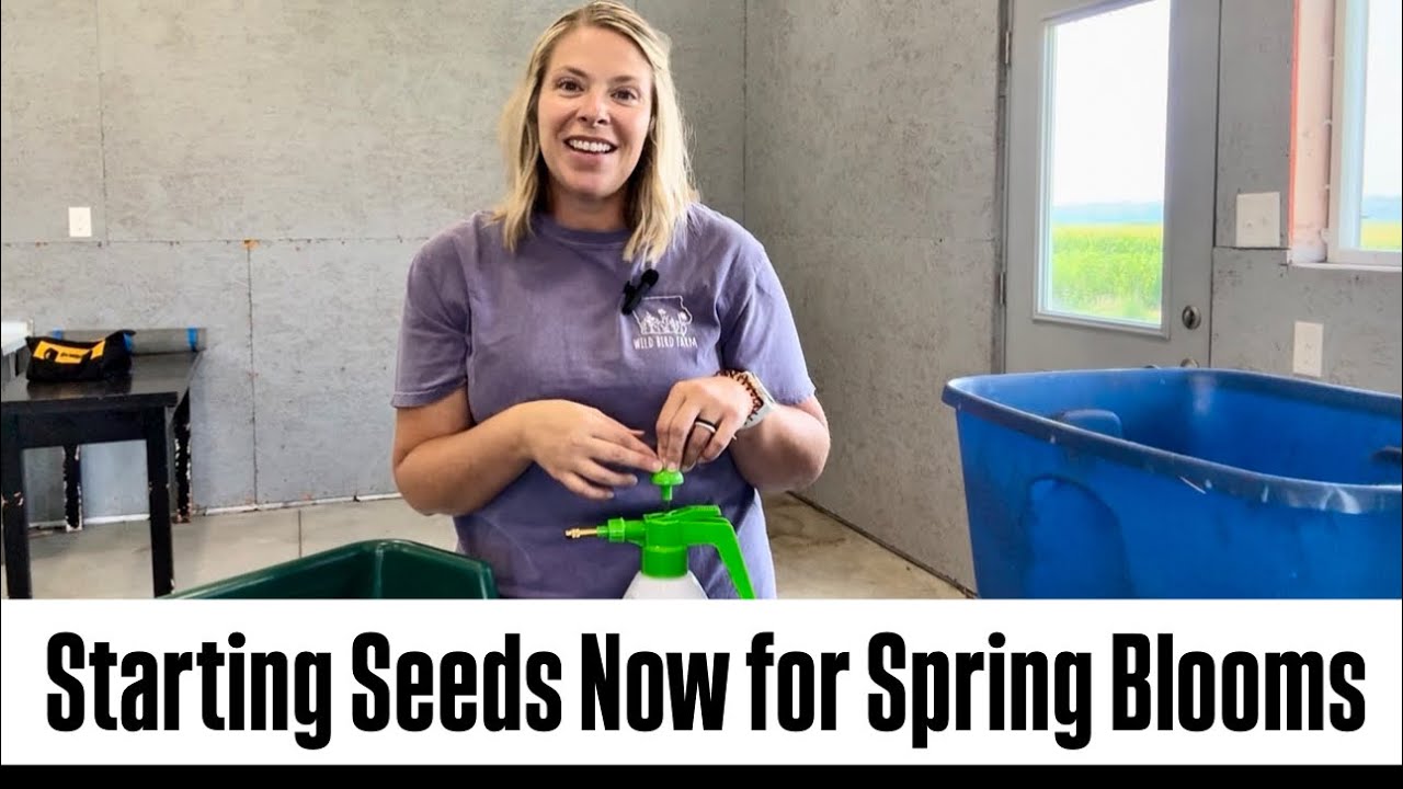 Cold Hardy Seed Starting Now for Earlier Blooms in 2026! : flower farm : cut flowers : Zone 5 :