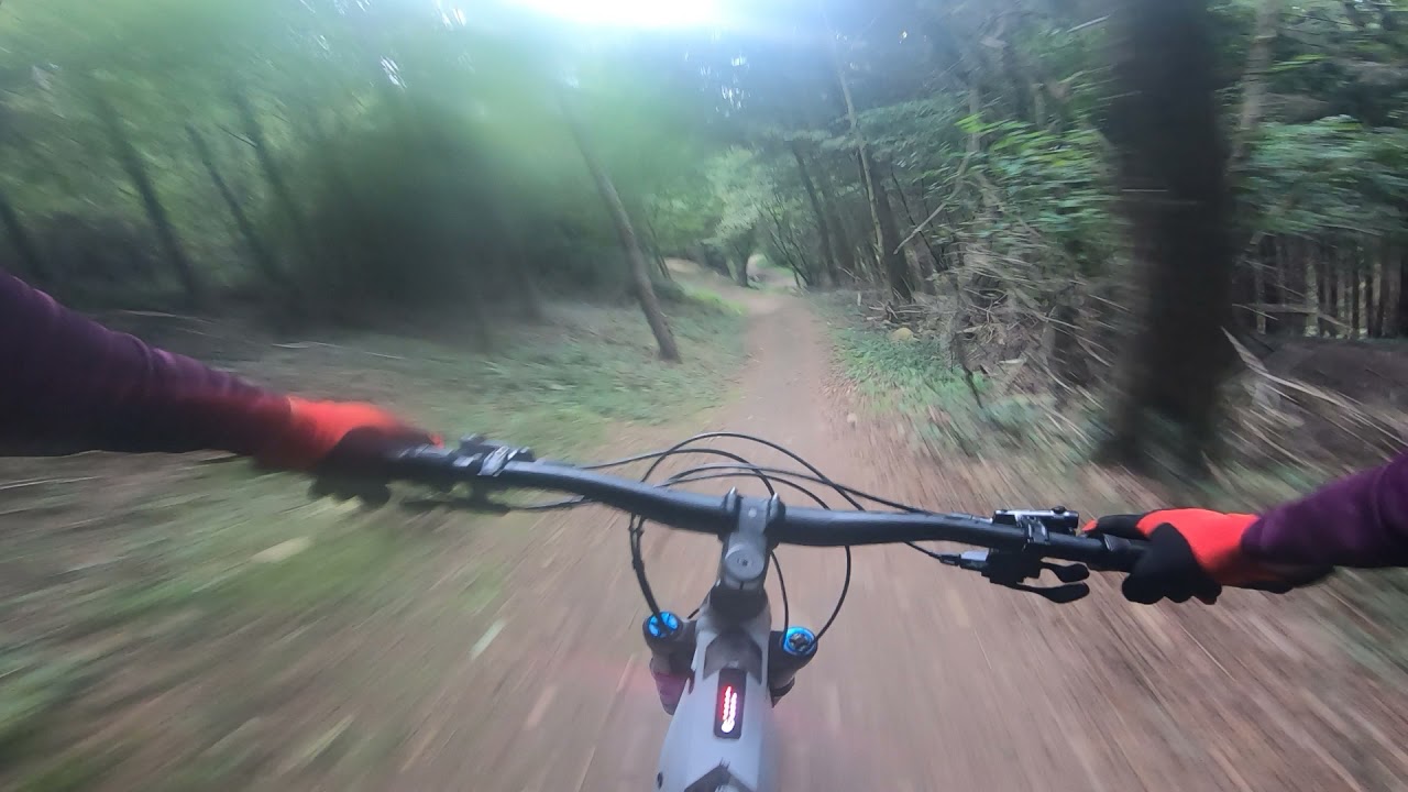 E-bike park Lourdes, Giant reign e+1 2022